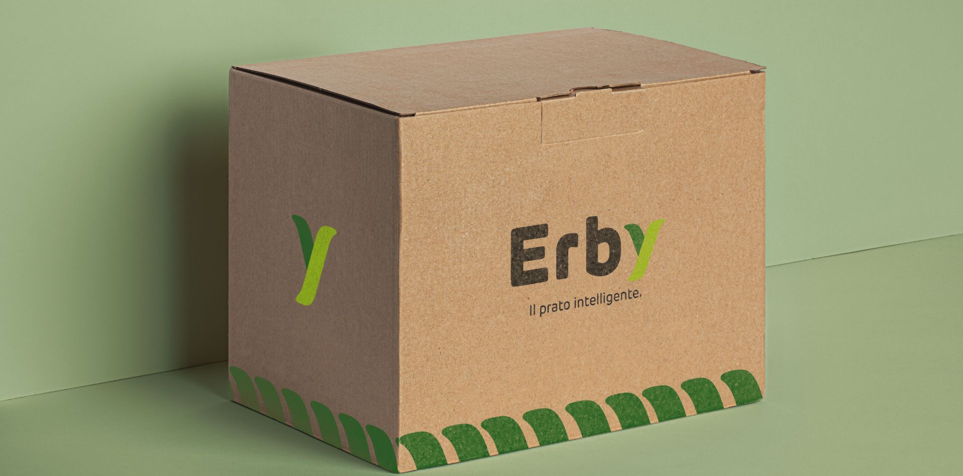 brand identity erby