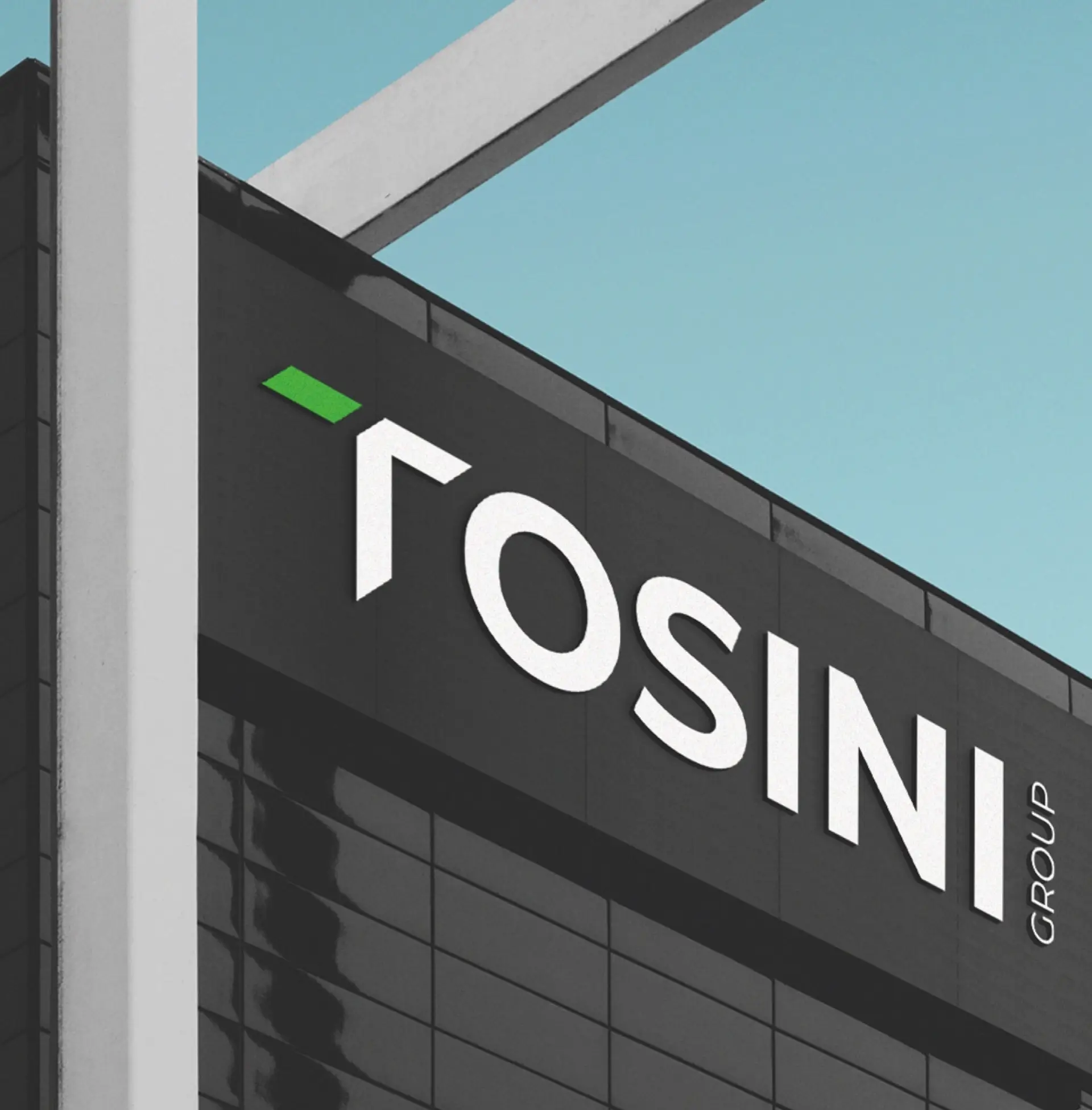 brand identity tosini group
