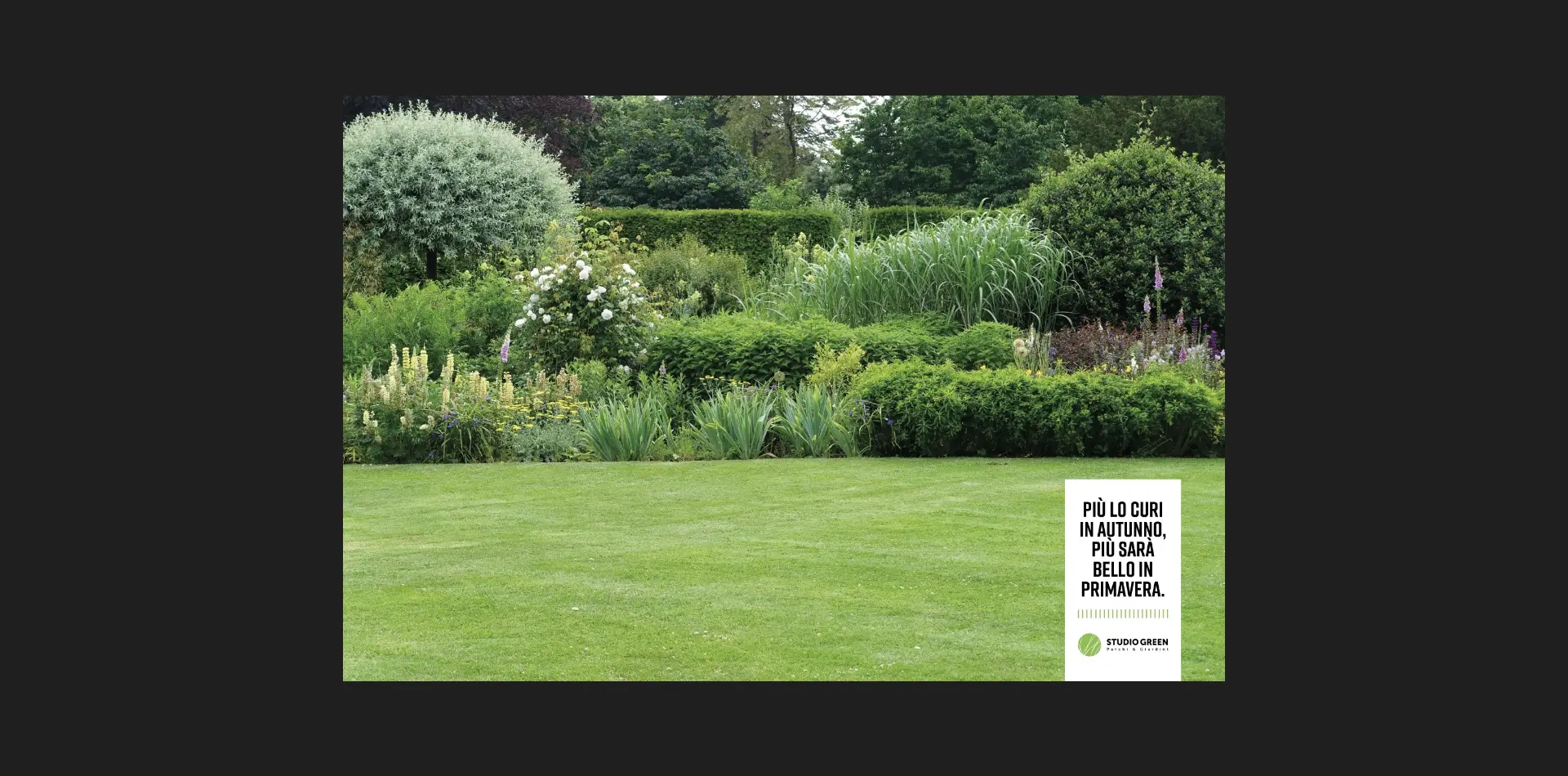Realizzazione campagna pubblicitaria social cura del giardino per Studio Green