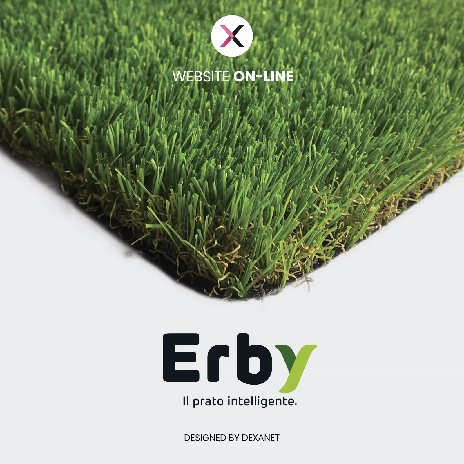 Un sito letteralmente evergreen: la realizzazione dell’e-commerce personalizzato di Erby.