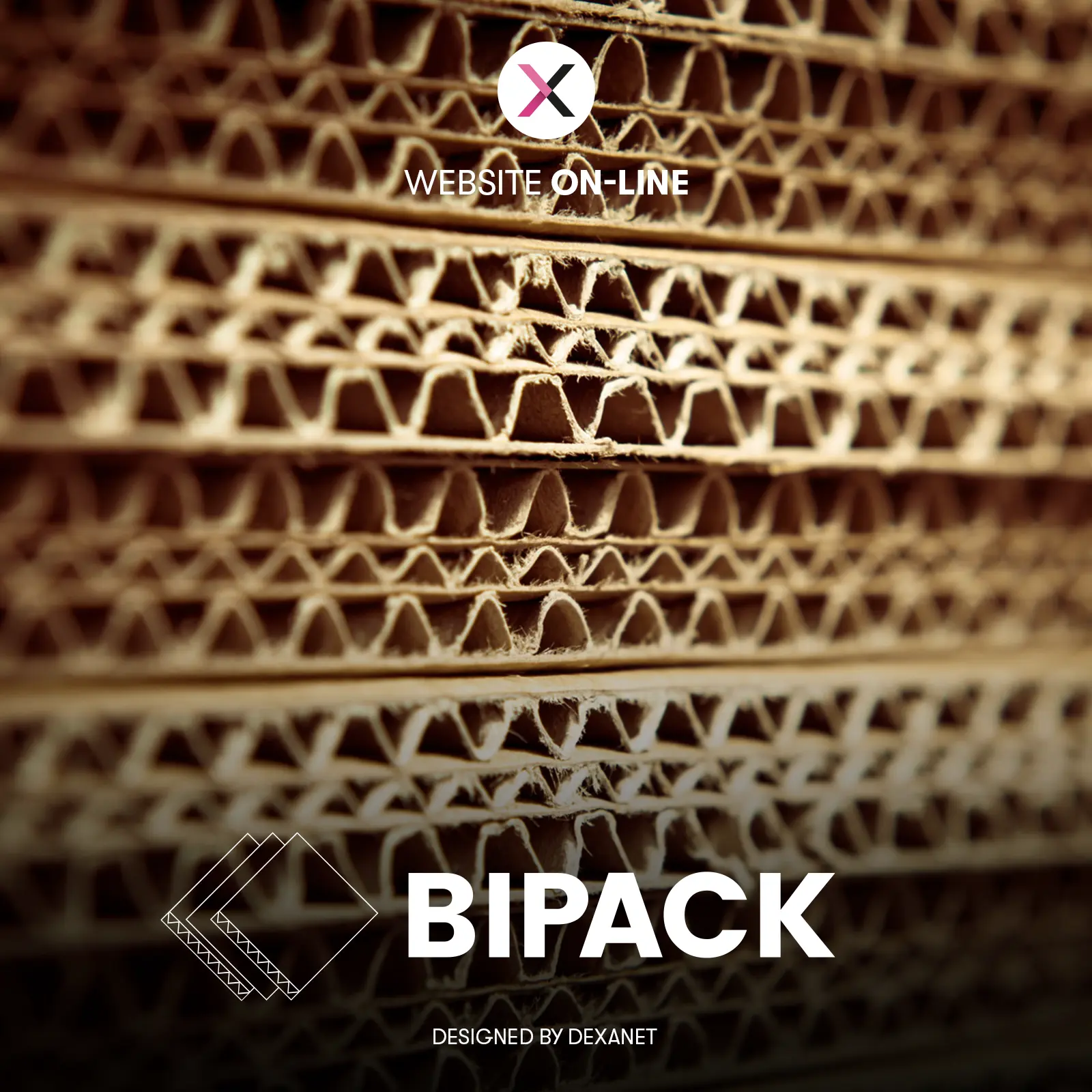 Bipack: mille scatole, zero rotture.