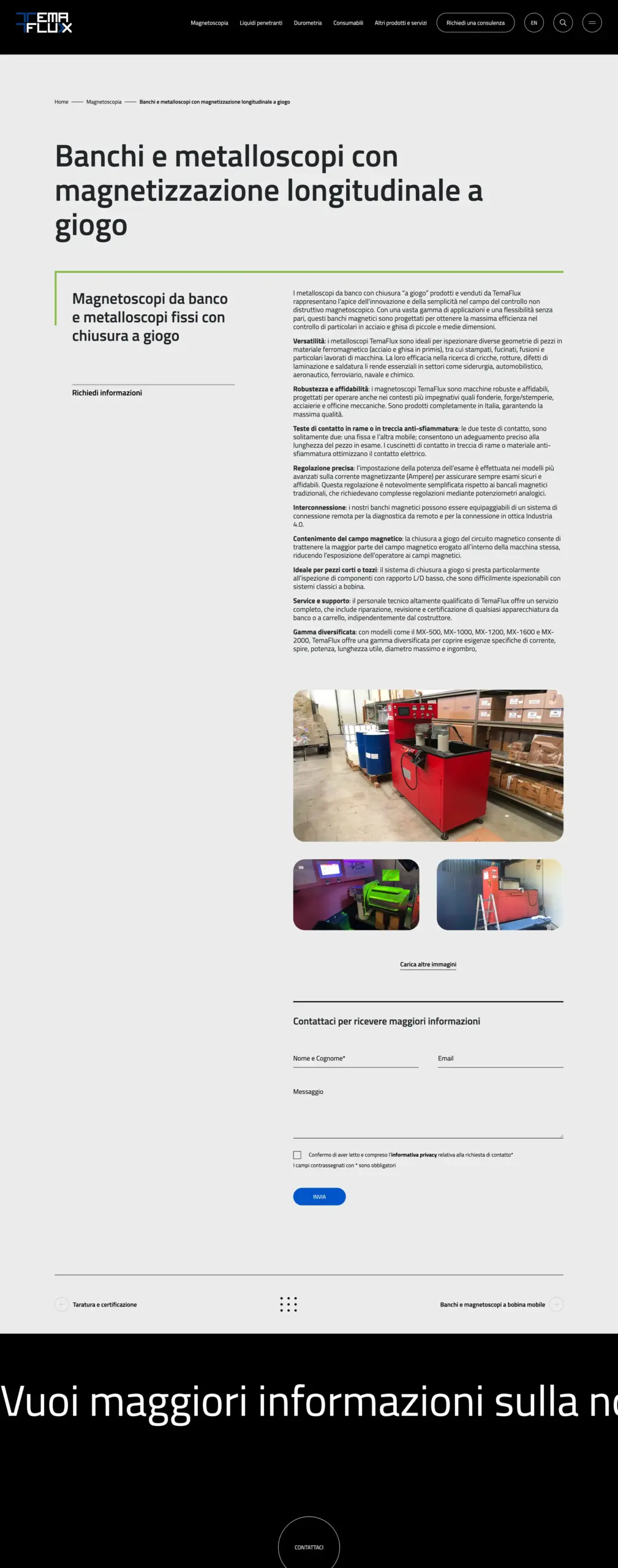 web design sito internet temaflux