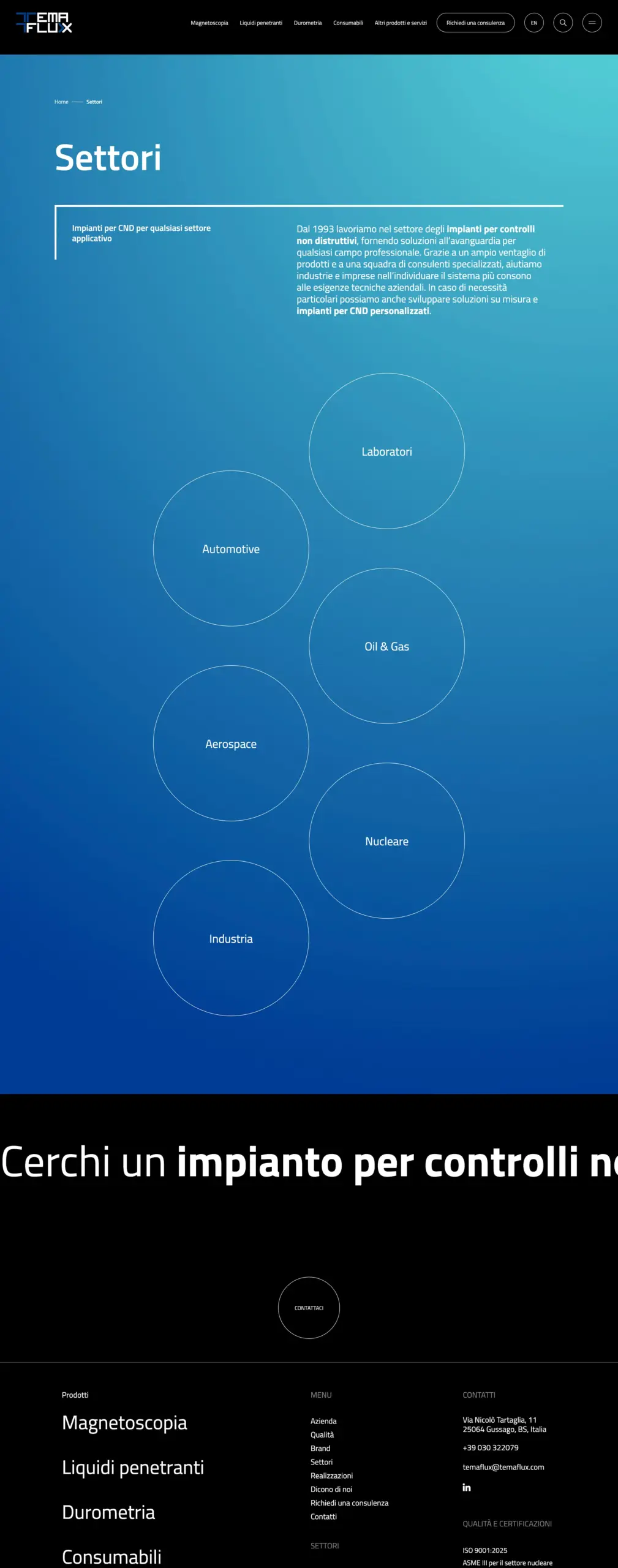 web design sito internet temaflux